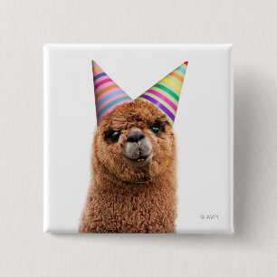 Chapa Cuadrada Alpaca con Gorras Fiestas
