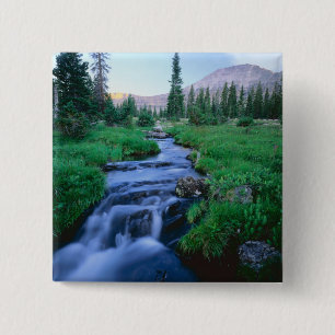 Chapa Cuadrada ALTA SALVEDAD DE UINTAS, UTAH. Horquilla de agua e