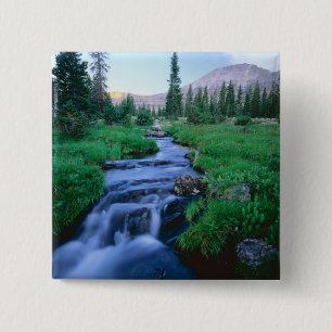 Chapa Cuadrada ALTA SALVEDAD DE UINTAS, UTAH. Horquilla de agua e