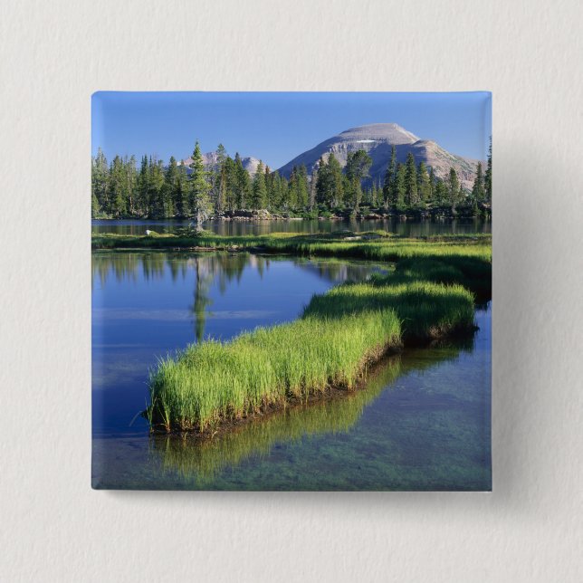 Chapa Cuadrada ALTO UINTAS WILDERNESS, UT, US, península, (Anverso)