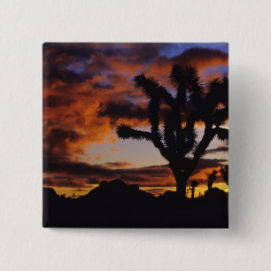 Chapa Cuadrada Amanecer Espectacular en Joshua Tree National