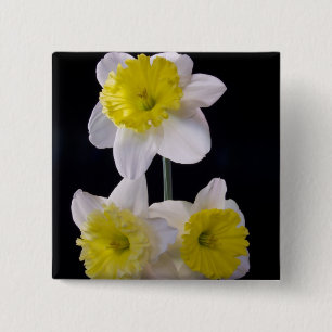 Chapa Cuadrada Amarillo sobre Daffodil Blanco