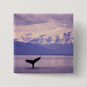 Chapa Cuadrada América del Norte, EE.UU., Alaska, Paso interno.