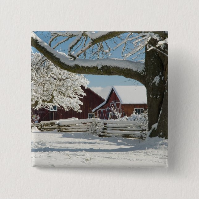 Chapa Cuadrada América del Norte, EE.UU., WA, Isla Whidbey. 2 (Anverso)