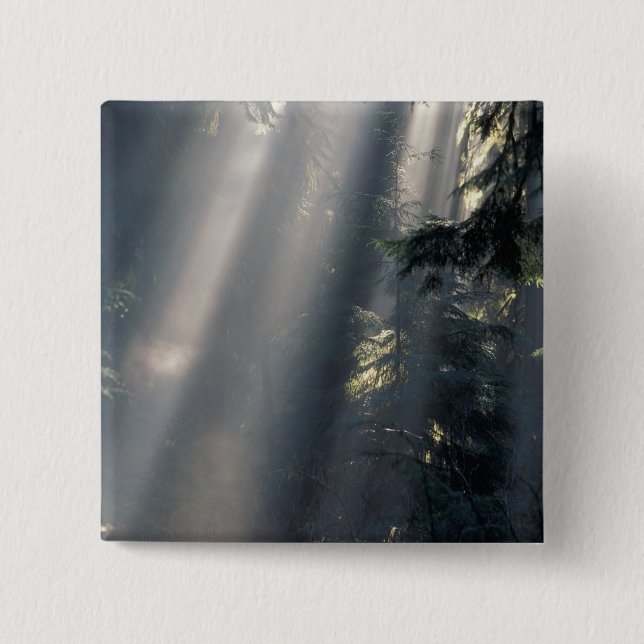 Chapa Cuadrada América del Norte, Estados Unidos, Washington, Oly (Anverso)