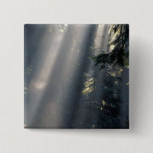 Chapa Cuadrada América del Norte, Estados Unidos, Washington, Oly