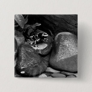 Chapa Cuadrada Amigos de Dart Frog B+W