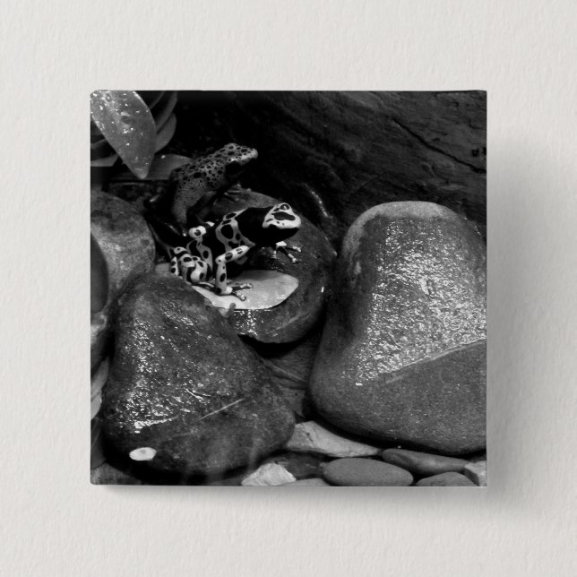 Chapa Cuadrada Amigos de Dart Frog B+W (Anverso)