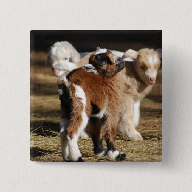 Chapa Cuadrada Amo A Los Niños (Anverso)