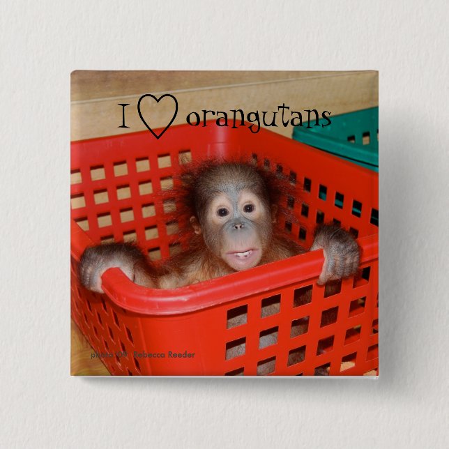 Chapa Cuadrada Amo a los Orangutans Animal Lover (Anverso)