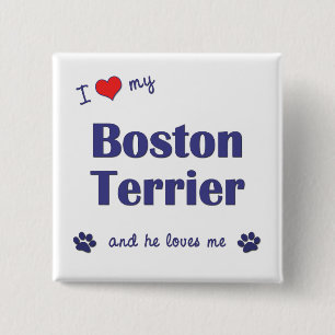 Chapa Cuadrada Amo mi Boston Terrier (el perro masculino)