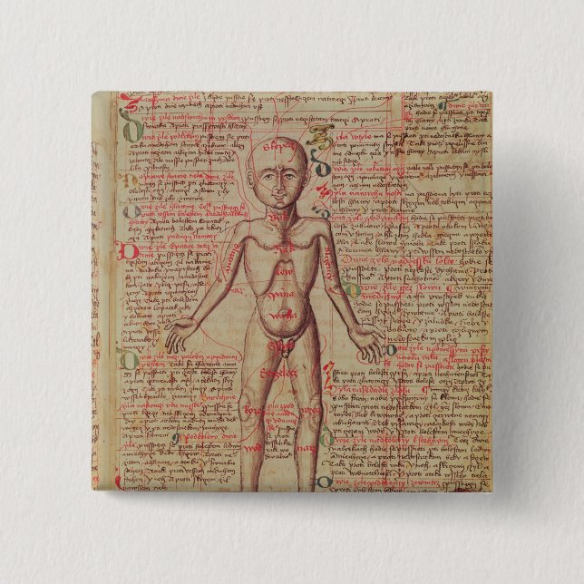 Chapa Cuadrada Anatomía del cuerpo humano (Anverso)