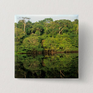 Chapa Cuadrada Anavilhanas, Amazonas, Brasil. Río de selva tropic