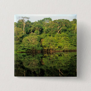 Chapa Cuadrada Anavilhanas, Amazonas, Brasil. Río Rainforest