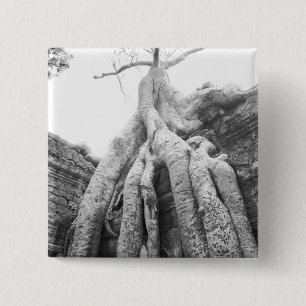 Chapa Cuadrada Angkor Cambodia, Tree Ta Prohm