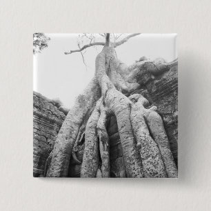 Chapa Cuadrada Angkor Camboya, Árbol Ta Prohm