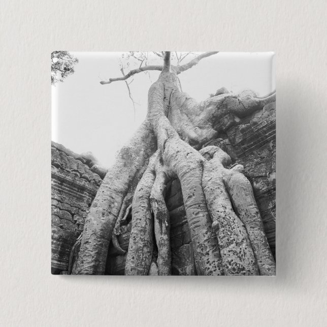 Chapa Cuadrada Angkor Camboya, Árbol Ta Prohm (Anverso)