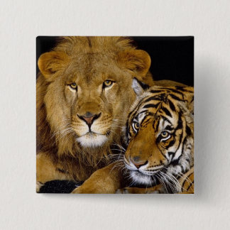 Chapa Cuadrada Animal