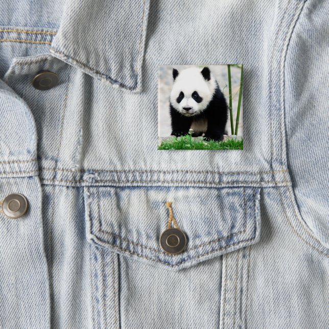 Chapa Cuadrada Animales de bebé más afectados | Baby Panda Bear (In situ)