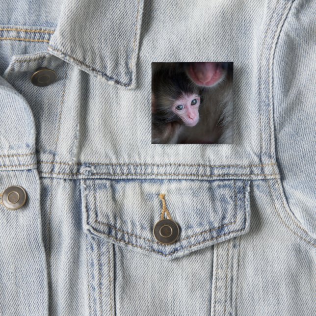 Chapa Cuadrada Animales de bebé más afectados | Bebé Macaque Mono (In situ)