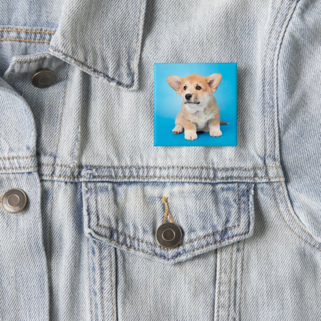 Chapa Cuadrada Animales de bebé más afectados | Cachorro de Corgi (In situ)