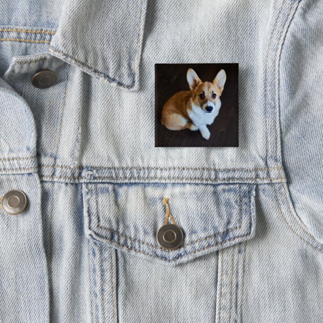Chapa Cuadrada Animales de bebé más afectados | Corgi Buscando (In situ)