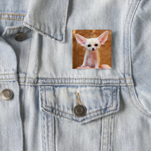 Chapa Cuadrada Animales de bebé más afectados Fennec Fox