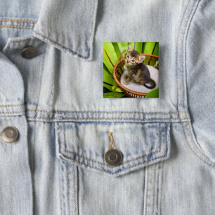 Chapa Cuadrada Animales de bebé más afectados   Gatito en canasta