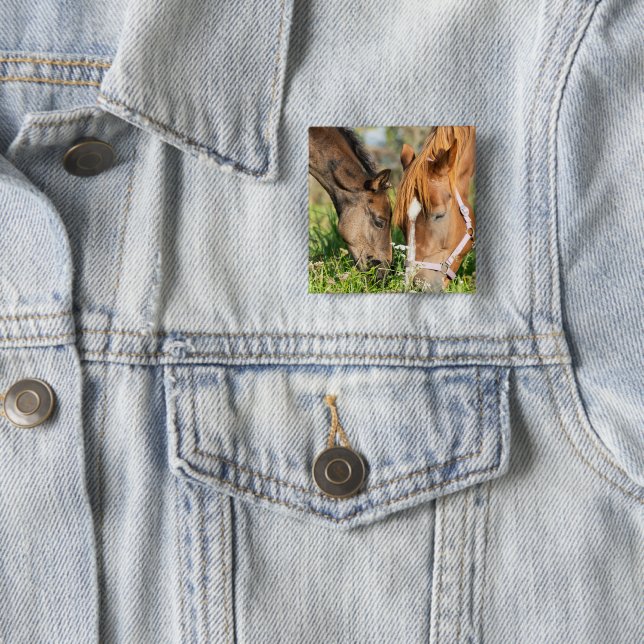 Chapa Cuadrada Animales de bebé más afectados | Horse Colt (In situ)