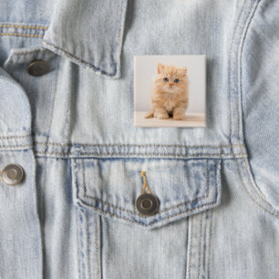 Chapa Cuadrada Animales de bebé más afectados Un Gatito Británi