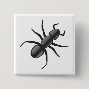 Chapa Cuadrada Ant