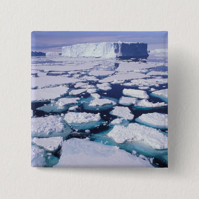 Chapa Cuadrada Antártida, Flujo de hielo. (Anverso)