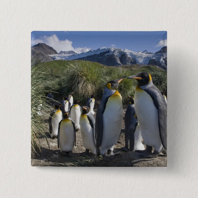 Chapa Cuadrada Antártida, Islas Georgias del Sur (Reino Unido), R (Anverso)