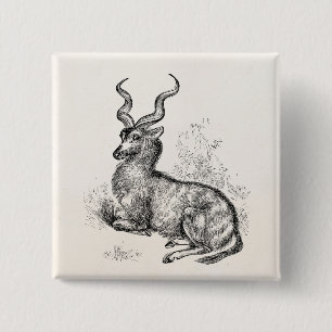 Chapa Cuadrada Antílope rizado del Gazelle del cuerno del vintag