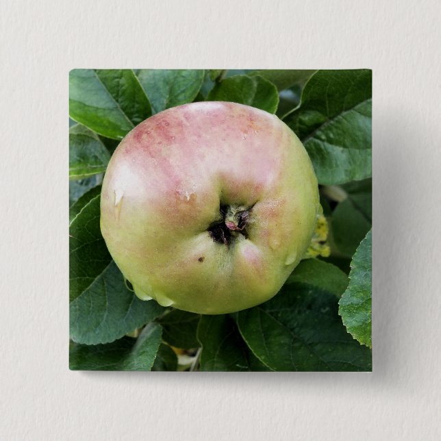 CHAPA CUADRADA APPLE (Anverso)