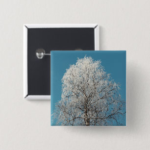 Chapa Cuadrada Árbol blanco salvaje contra cielo azul sin nubes