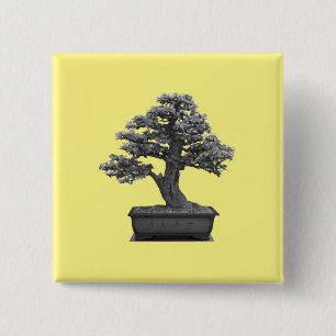 Chapa Cuadrada árbol bonsai