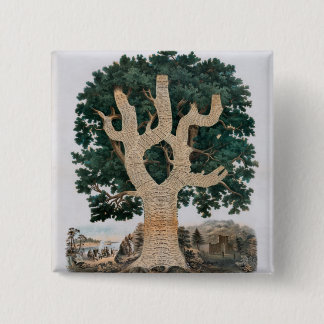 Chapa Cuadrada Árbol del conocimiento
