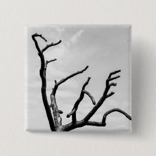 Chapa Cuadrada árbol libre