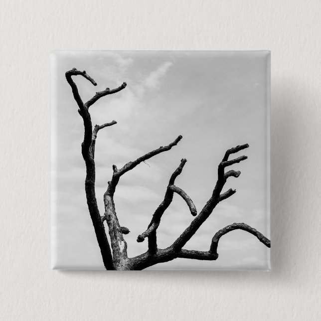 Chapa Cuadrada árbol libre (Anverso)