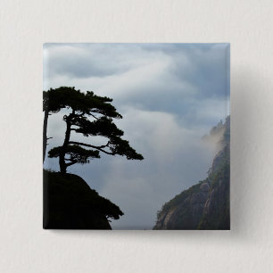 Chapa Cuadrada Árbol silueteado al amanecer, Montaña Amarilla,