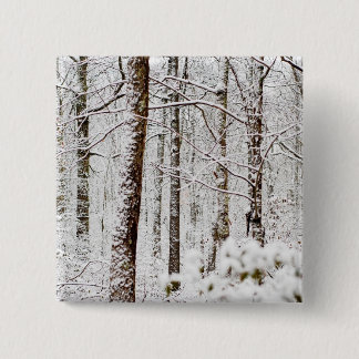 Chapa Cuadrada Arbolados Nevado Pocono