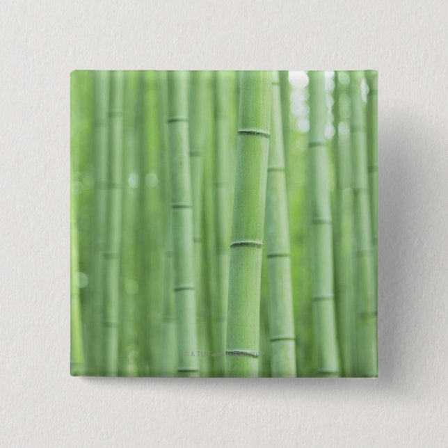 Chapa Cuadrada Arboleda de bambú (Anverso)