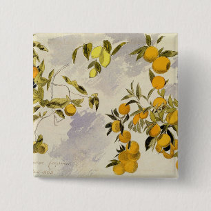 Chapa Cuadrada Árboles anaranjados, 1863 (w/c, pluma y tinta