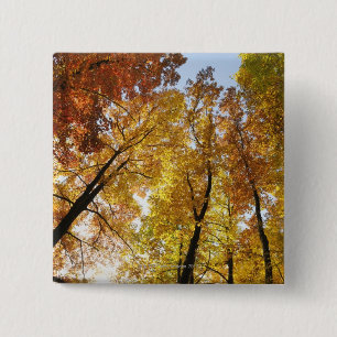 Chapa Cuadrada Árboles coloridos