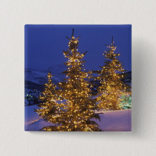 Chapa Cuadrada Árboles de navidad, Park City, montañas de Wastc
