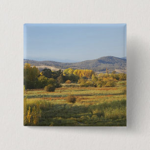 Chapa Cuadrada Árboles de otoño, Khancoban, Montañas nevadas, 