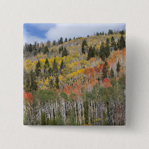 Chapa Cuadrada Árboles del río Provo y álamos