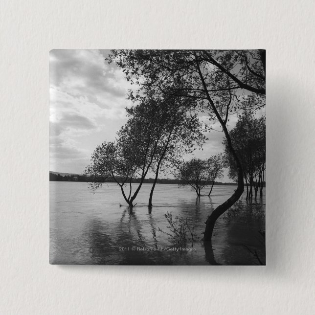 Chapa Cuadrada Árboles en el lago (Anverso)