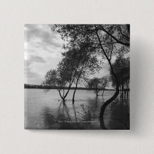 Chapa Cuadrada Árboles en el lago